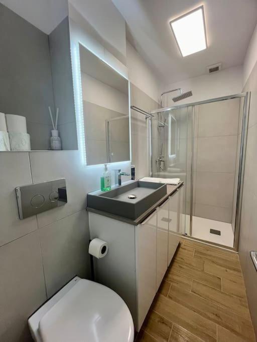 Cipariu Corner Apartment Cluj Napoca Bagian luar foto